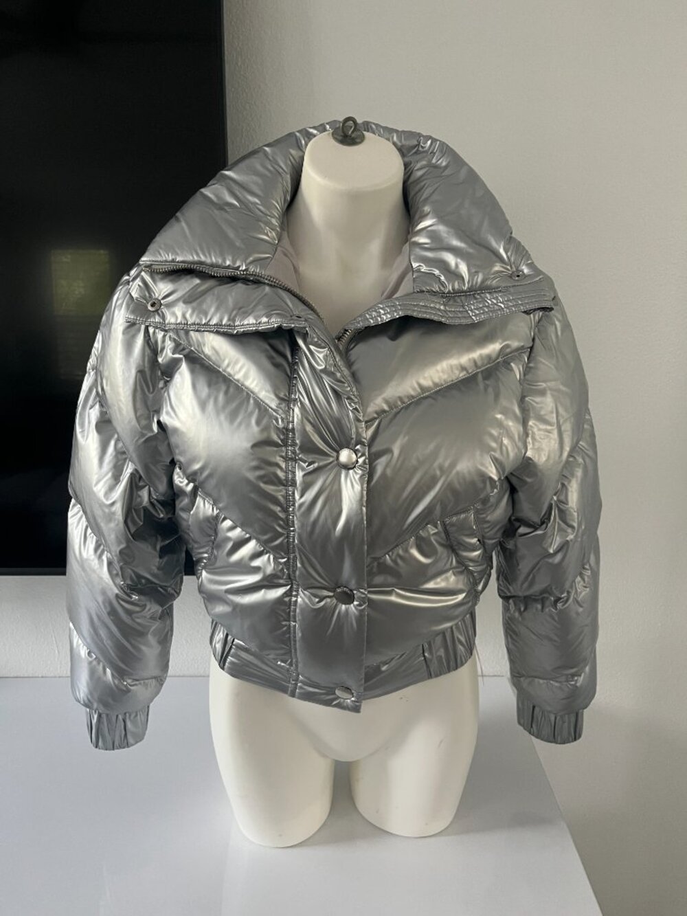 Cordova Silver Women's Ski Jacket